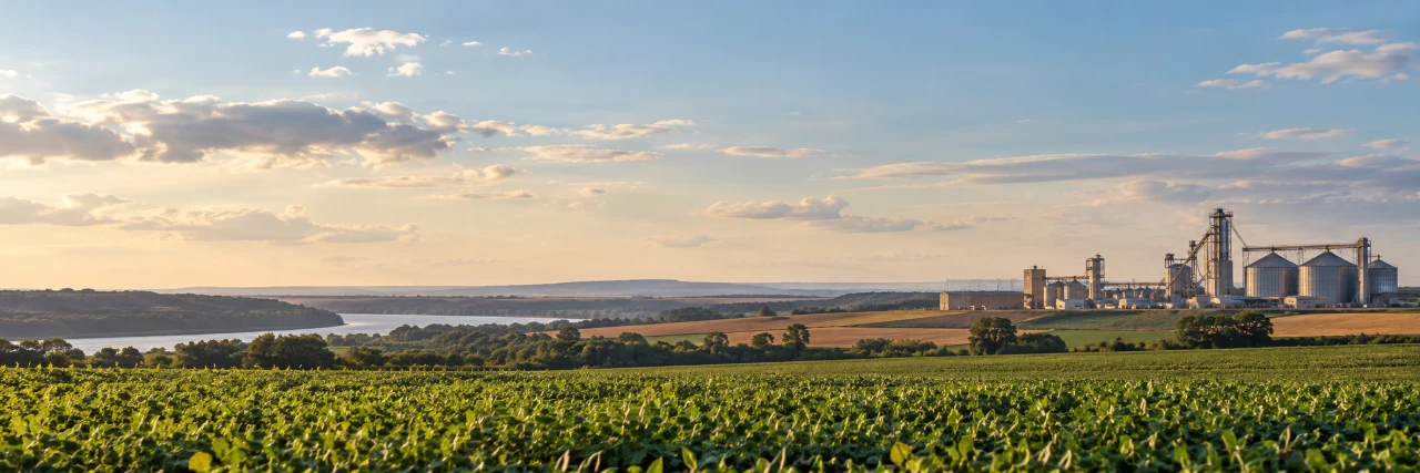 Agricultural landscape with soybean fields, a river and grain silos